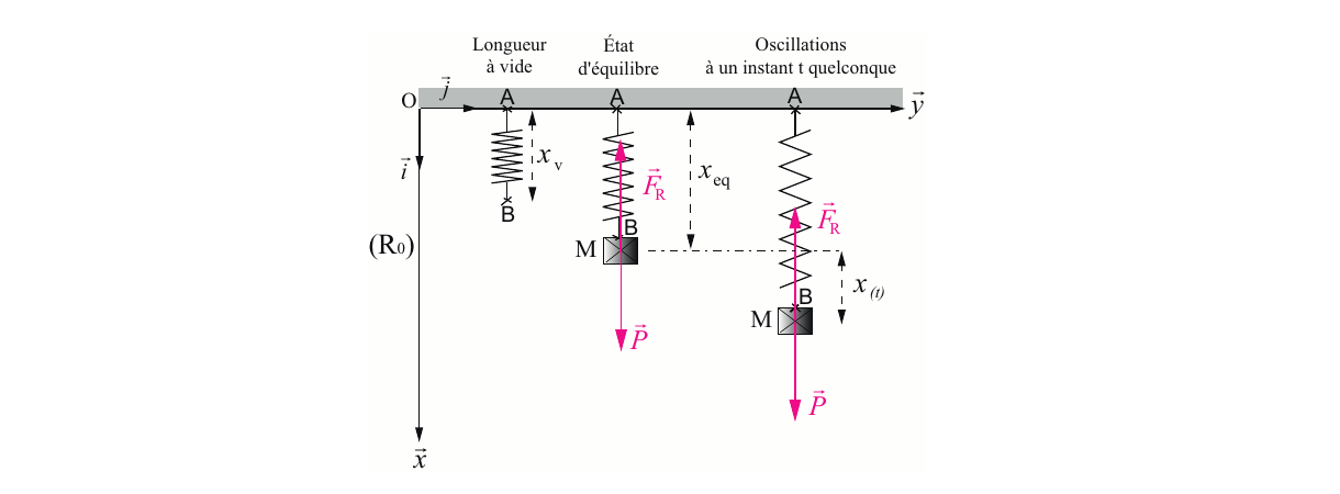 Schéma du système masse-ressort : longueur à vide, état d'équilibre, oscillations